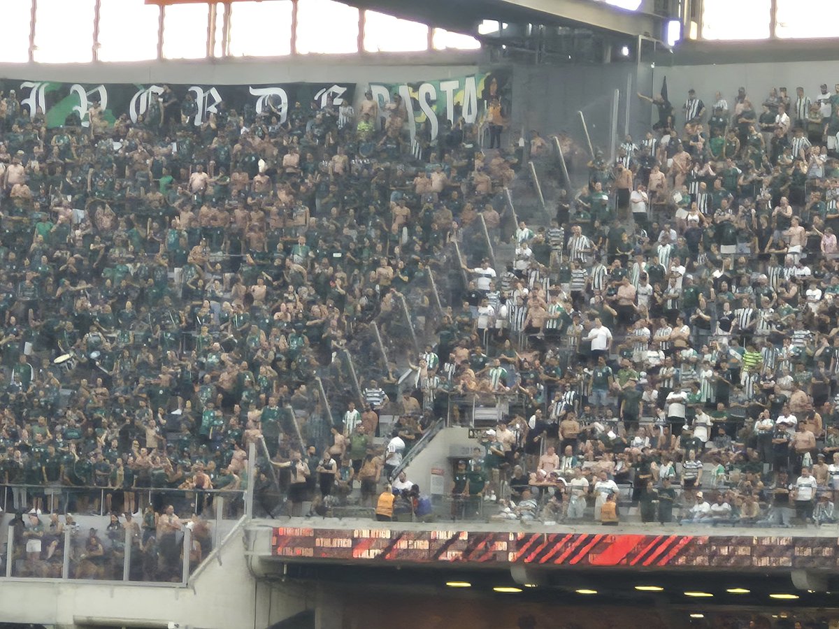 Observador tweet media