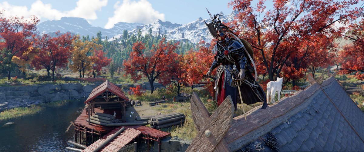 VadiosLokus tweet media