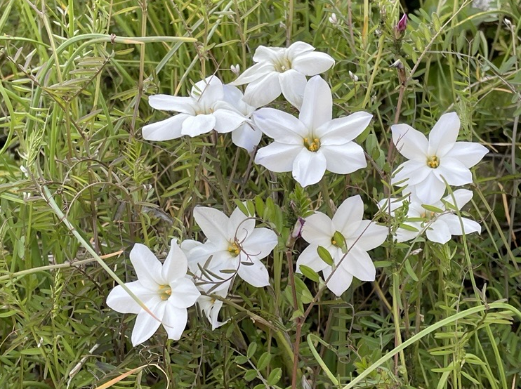 YDサポート株式会社 tweet media