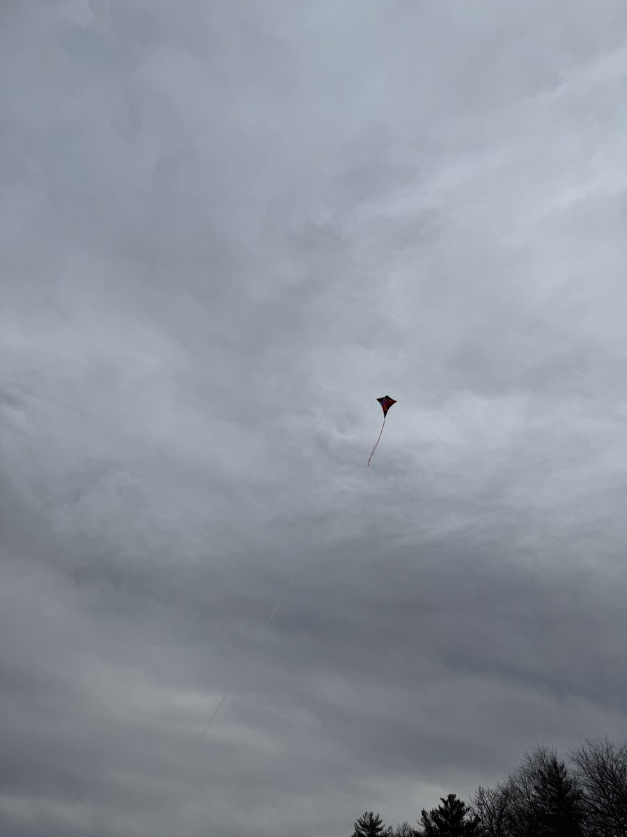 Ethan 🦣 tweet media