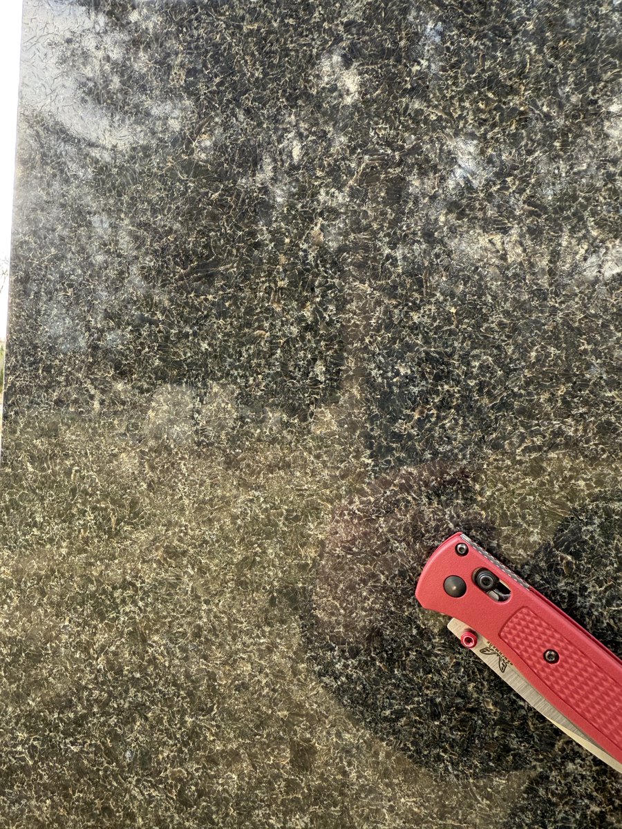 Ethan 🦣 tweet media