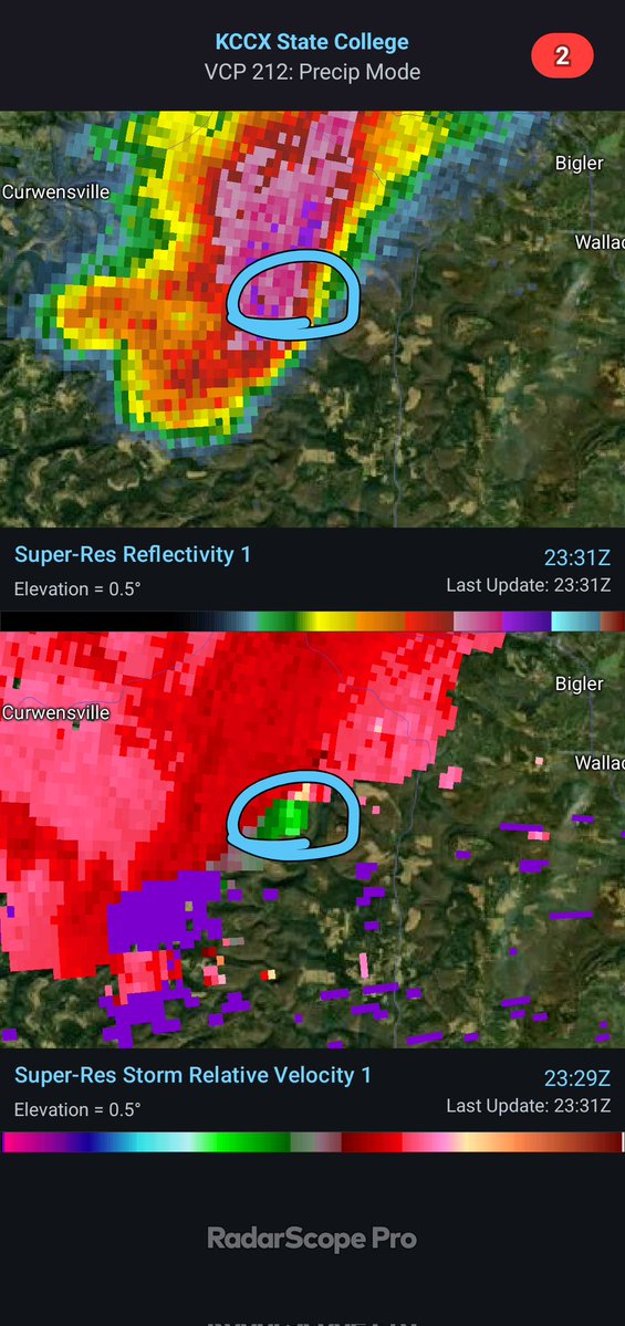 Evan Chiefer tweet media