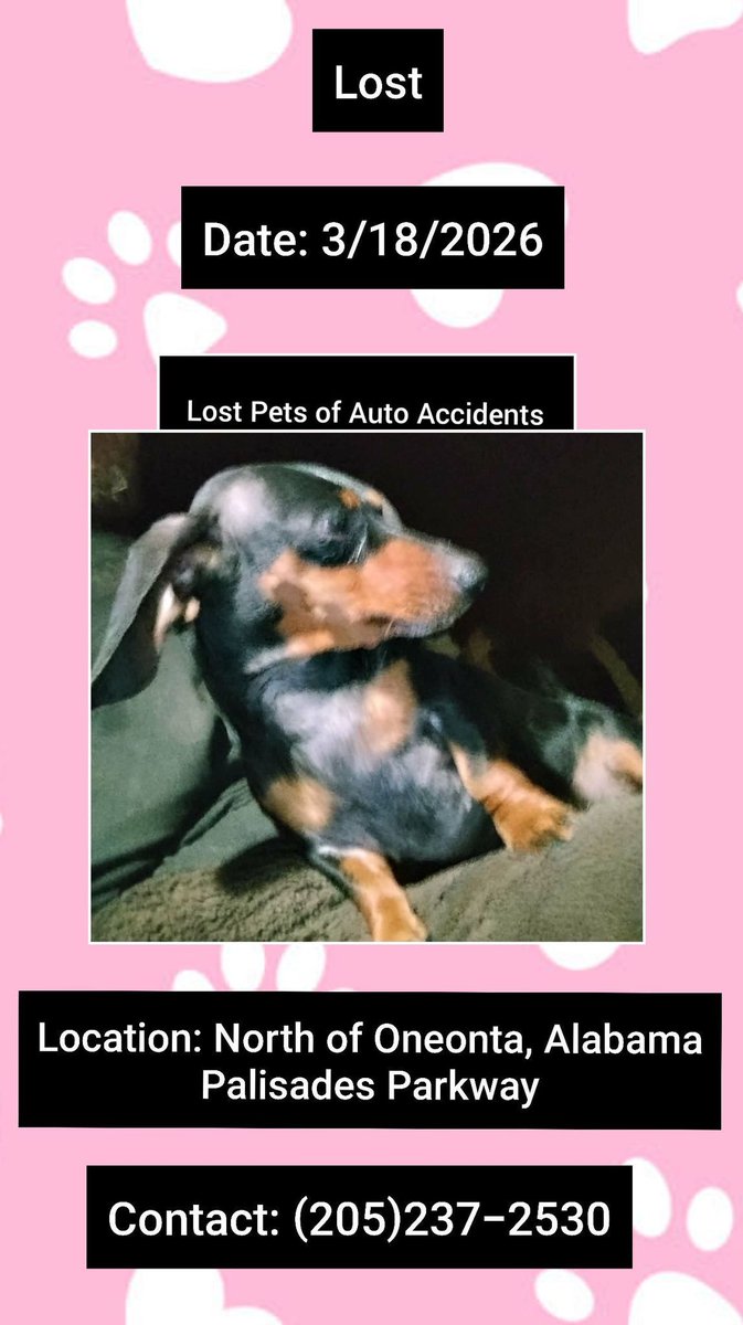 Christine J Arepaki tweet media