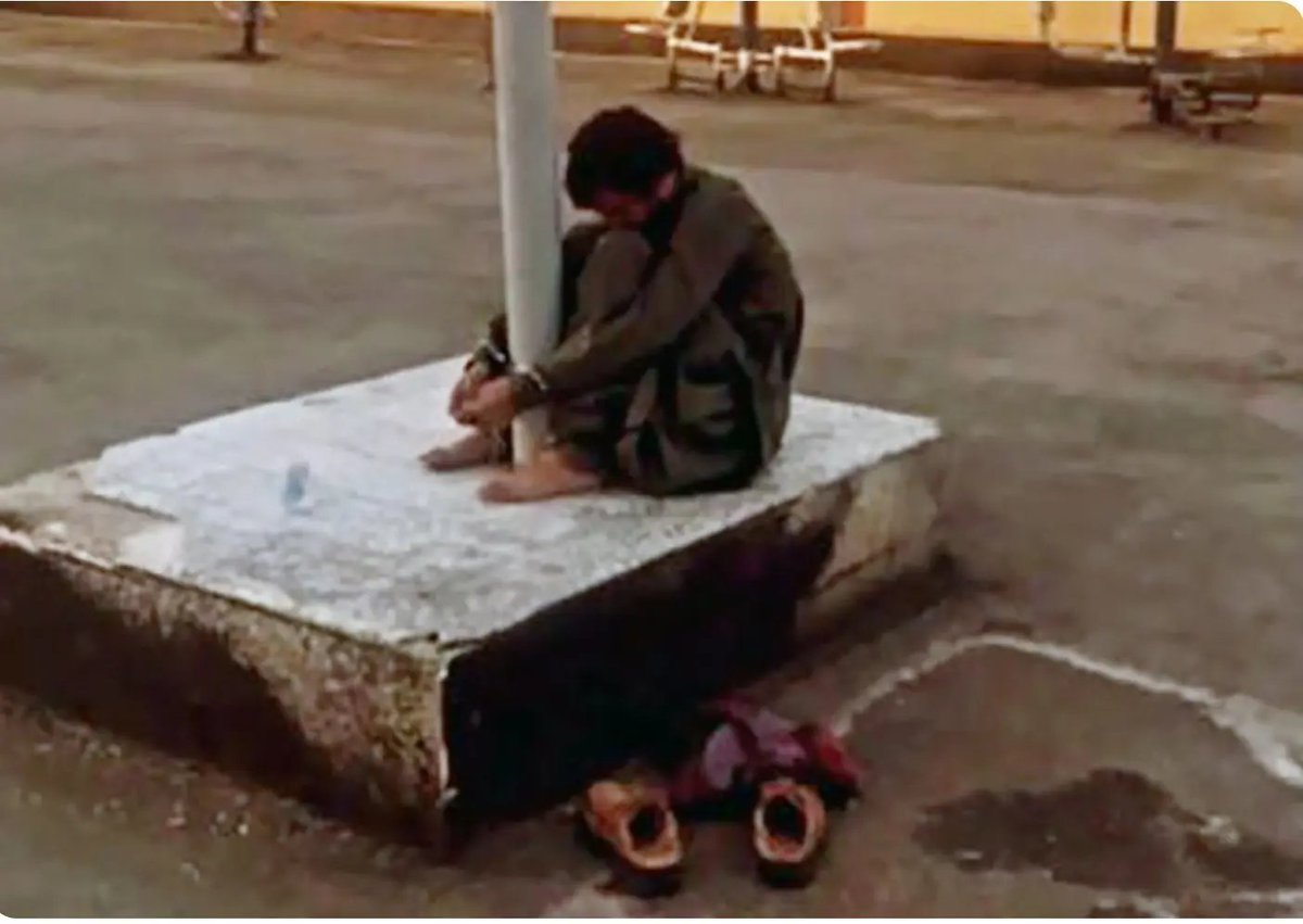 dahlia kurtz ✡︎ דליה קורץ tweet media