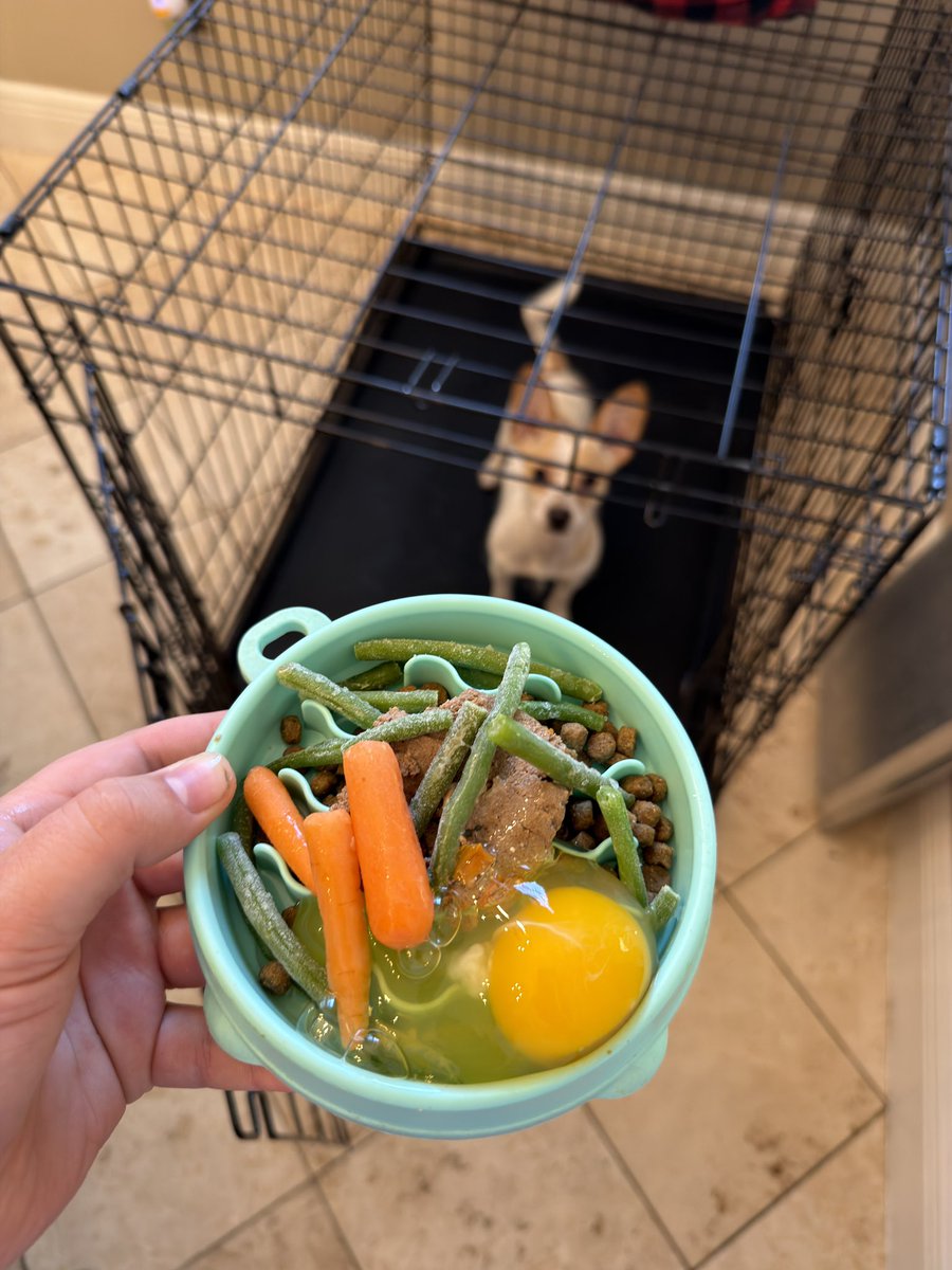 Jack The NightCrawler tweet media