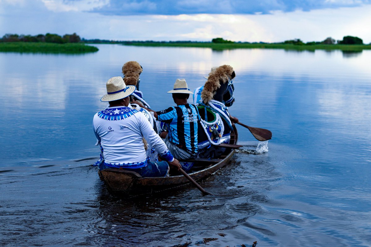 Michel.Amazonas tweet media