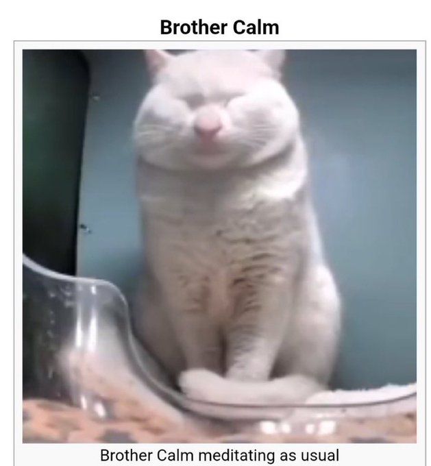 Absurd but Cryptic Stranger tweet media