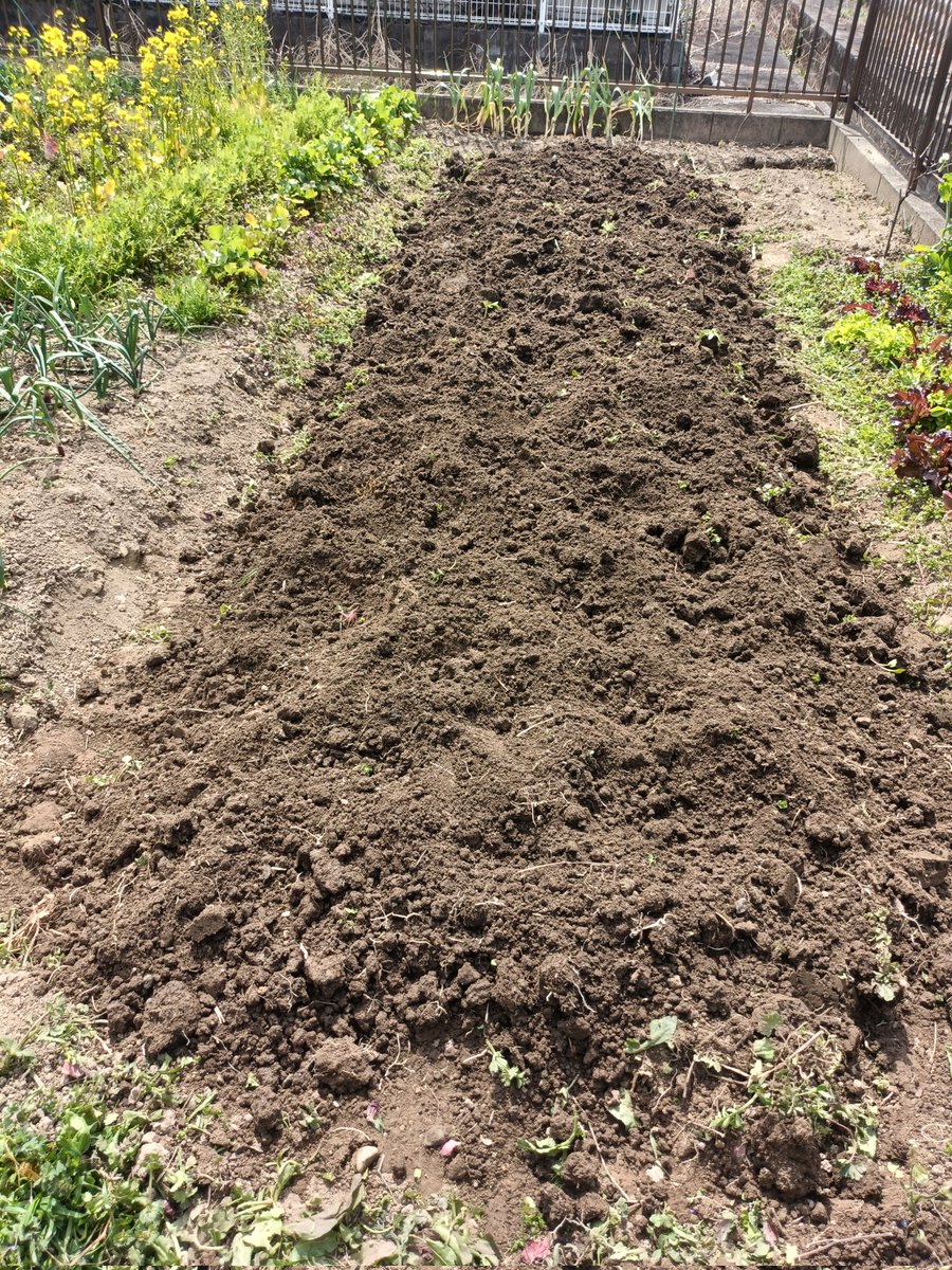 アカリンゴ🍎Cooking tweet media