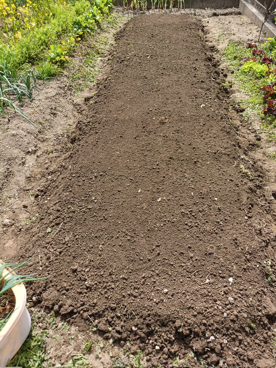 アカリンゴ🍎Cooking tweet media