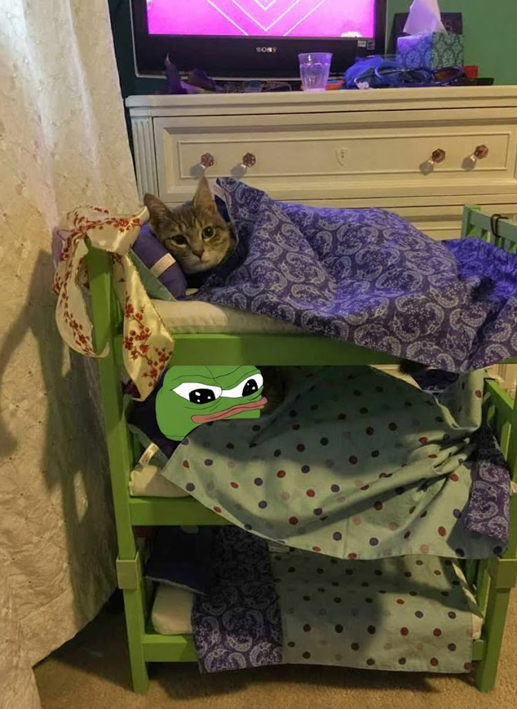 jus moto tweet media