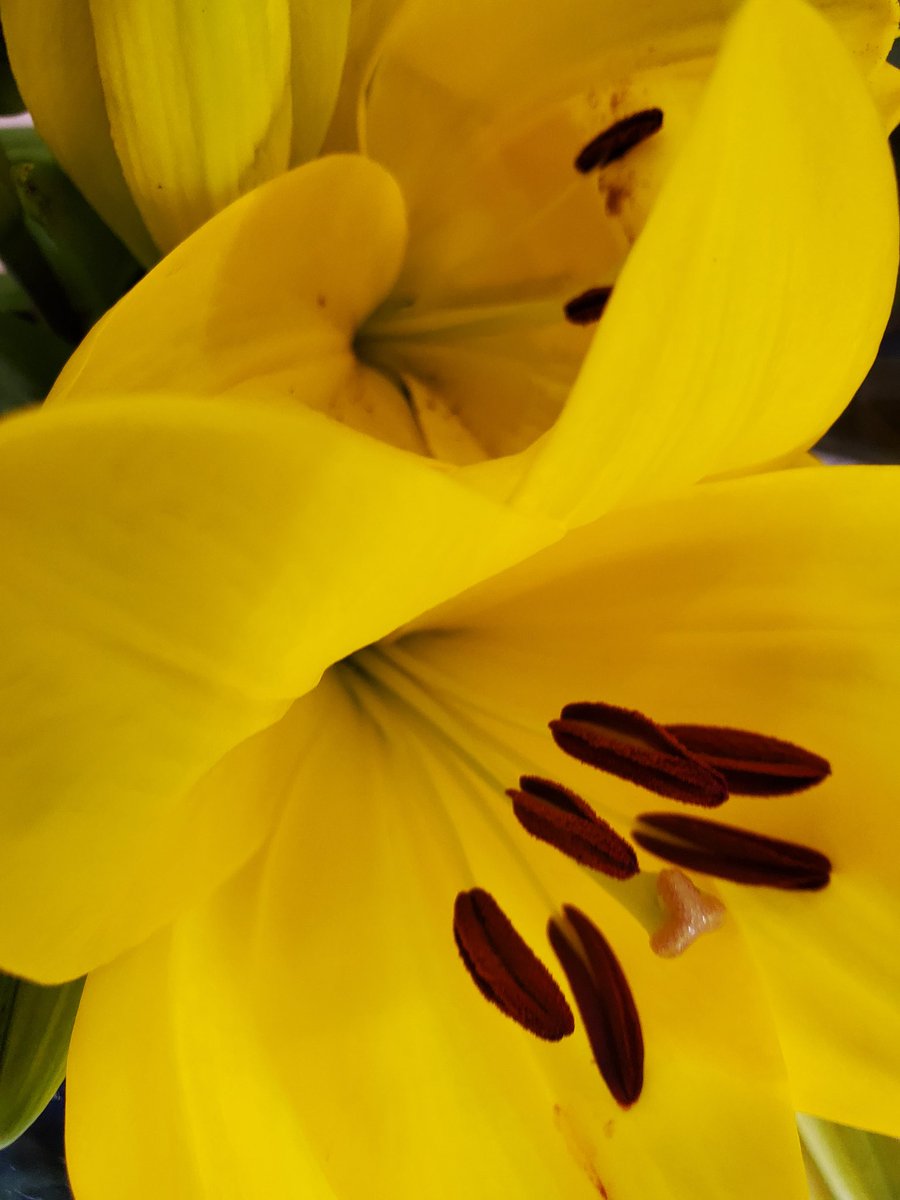 マーブル　全ての方にお返し出来てません、ご理解して下さい tweet media