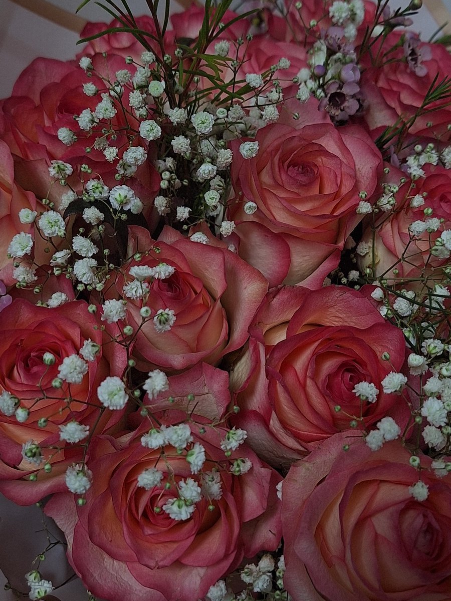 ソウキ 🪭 (Pamuk Fan Acc) tweet media