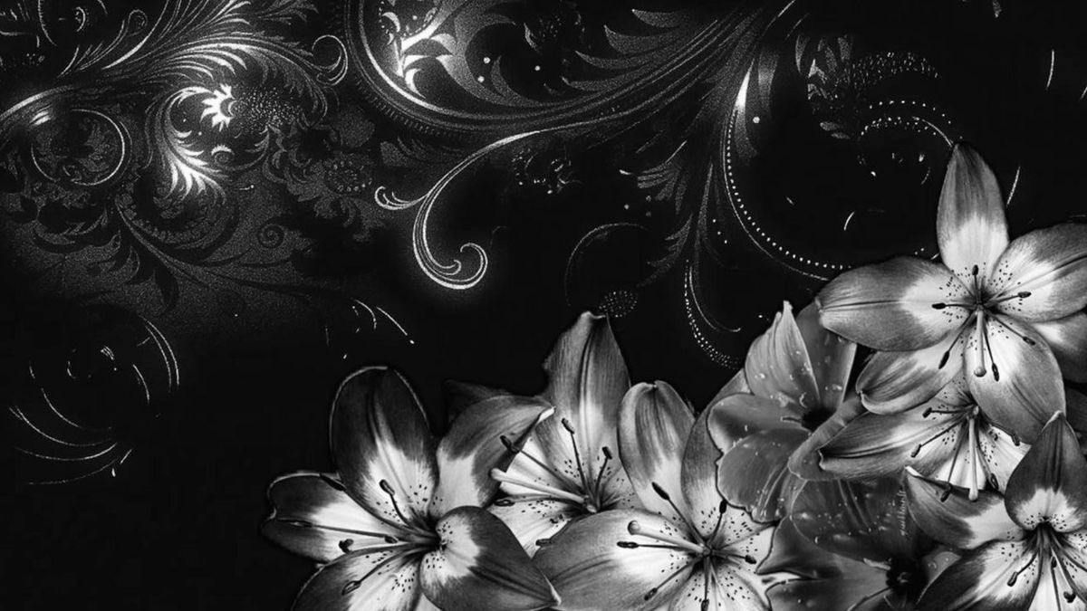 kyrah ₍^. .^₎Ⳋ tweet media