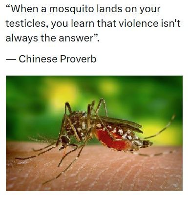 Nikolai Gotchev tweet media