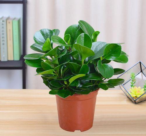 Dariusz Janek Daro tweet media