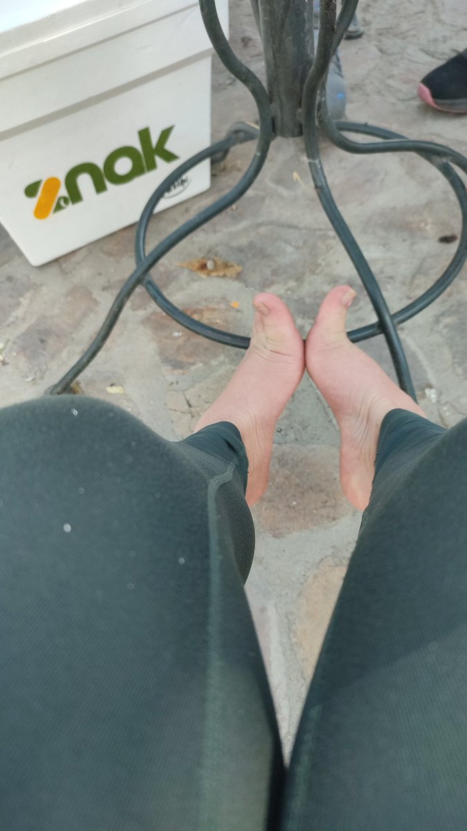 Pandoratj tweet media