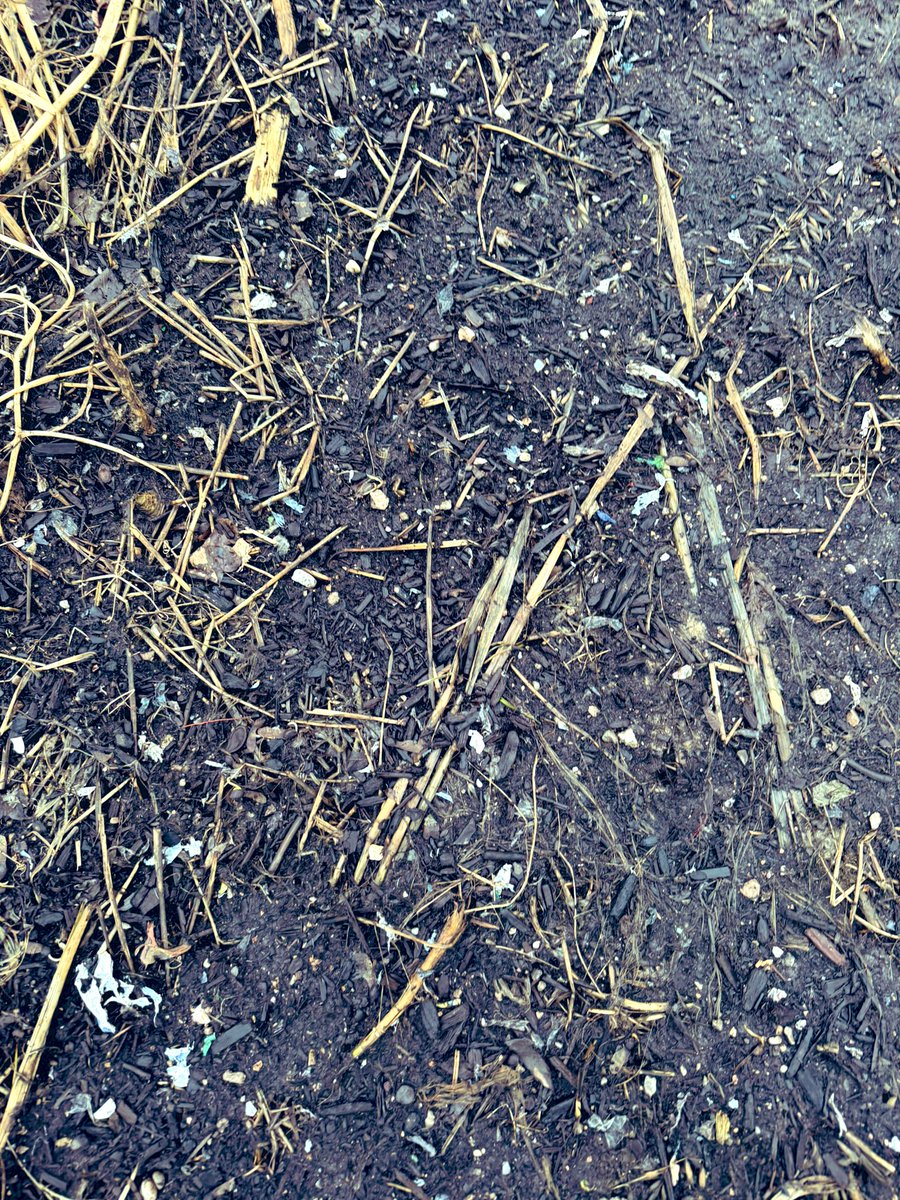 Brent Weigel tweet media