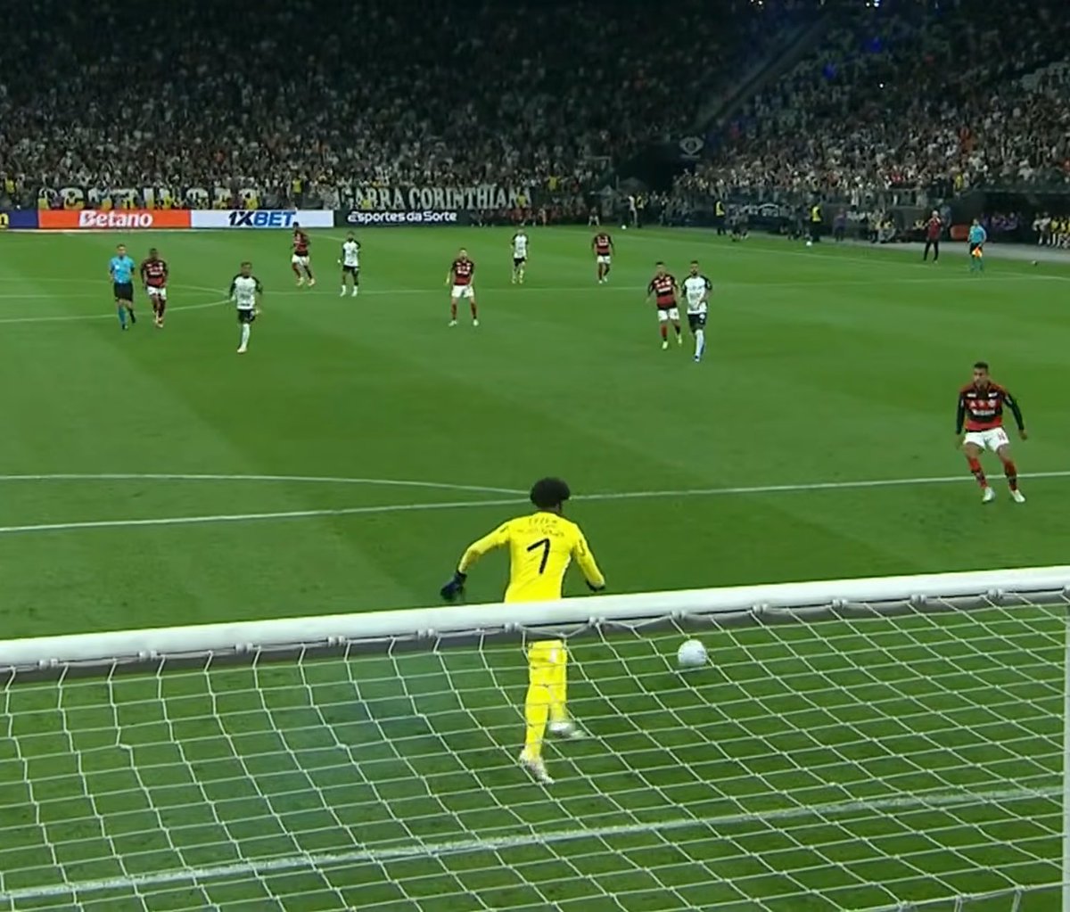 Sincerão tweet media