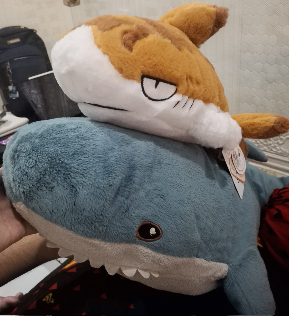 Cilok! (working on comms) tweet media