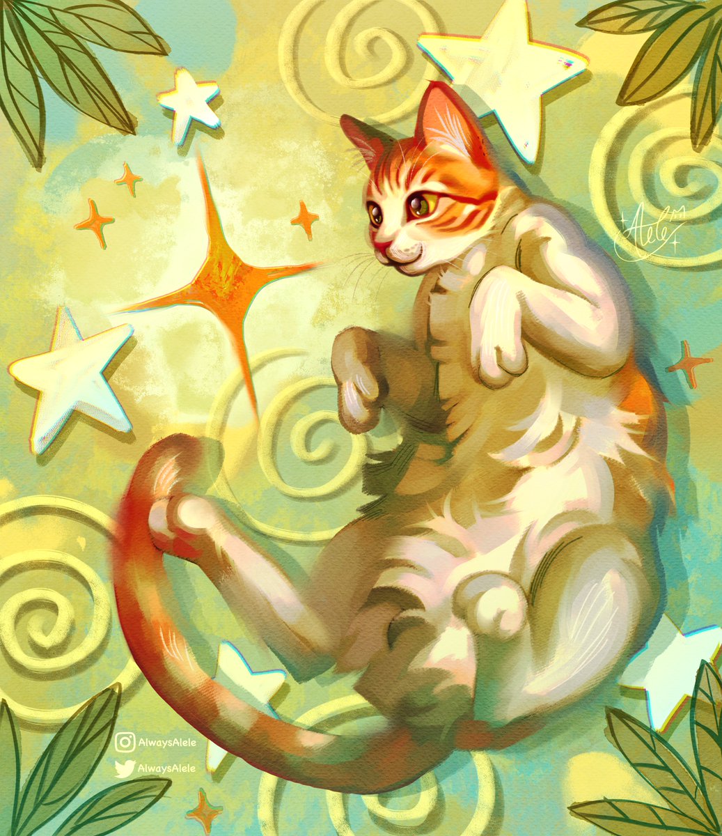 Alele ⭐️ tweet media