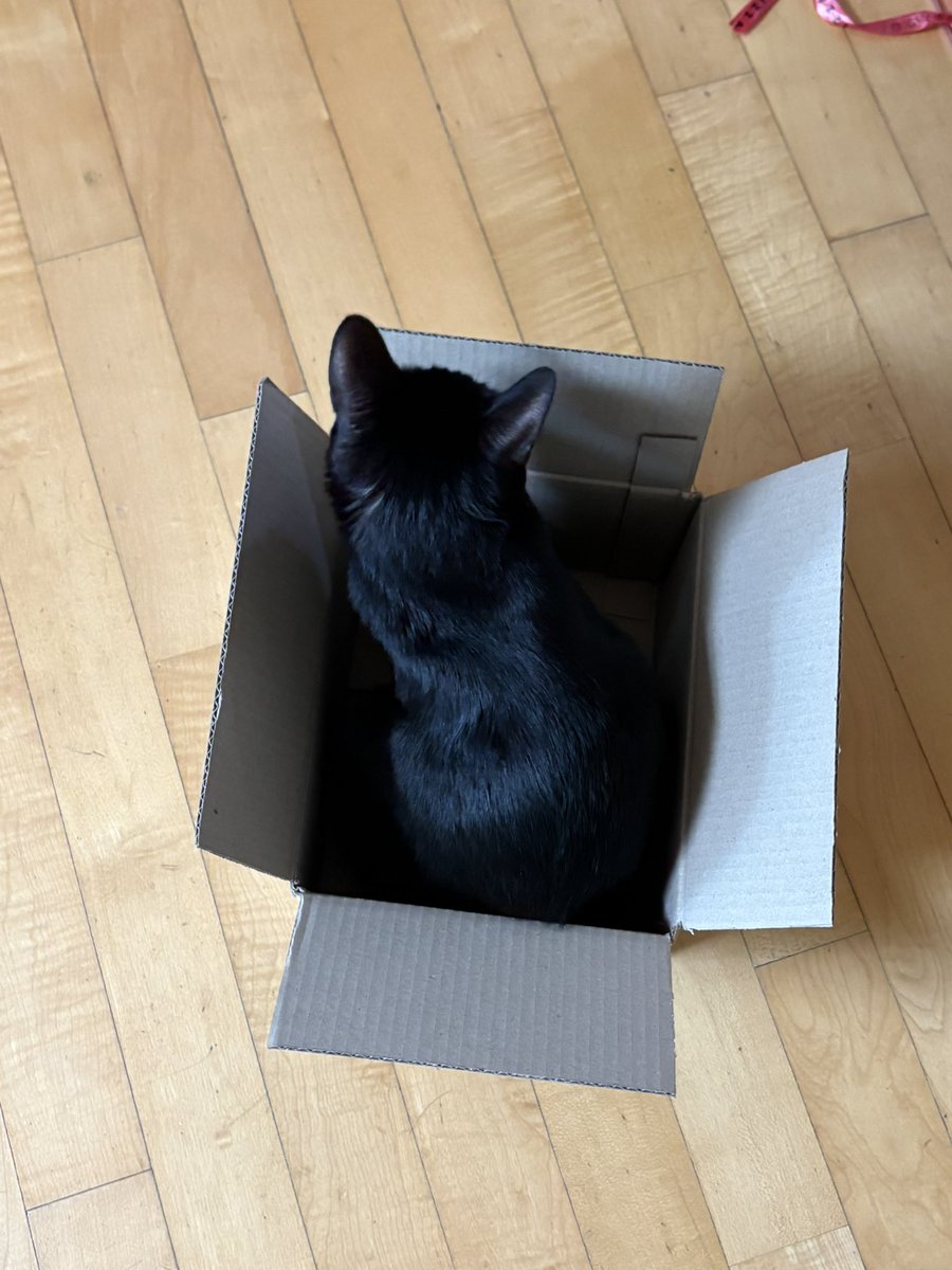 순냥이 tweet media