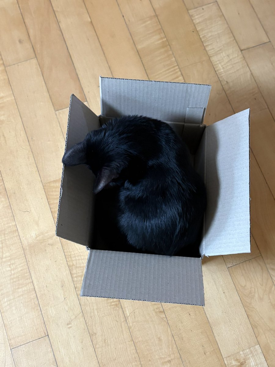 순냥이 tweet media