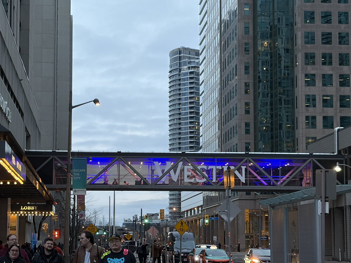 Diamond 🦨 tweet media