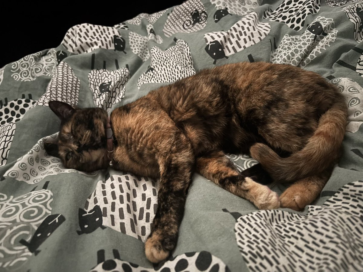 i know you're not asleep girl i see that eye open🤨