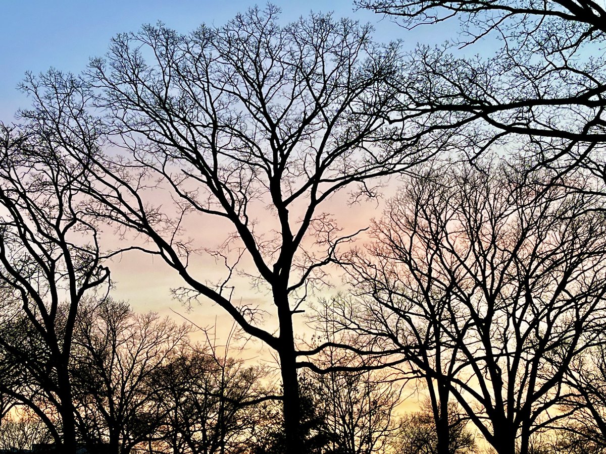 Dave Chappal tweet media