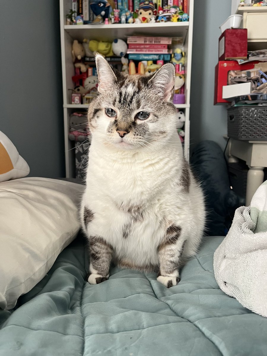 Catherine Tinker tweet media