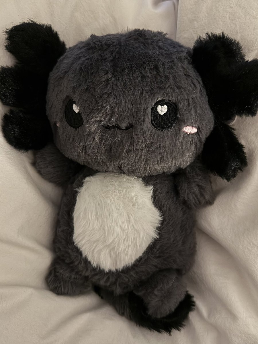 Blackbird tweet media