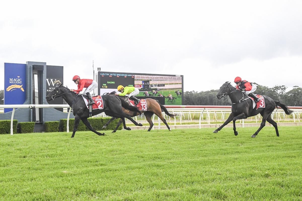 Triple Crown Syndications tweet media