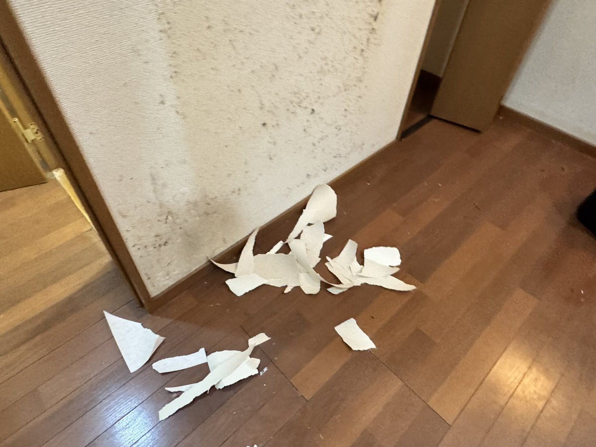 パッパ tweet media