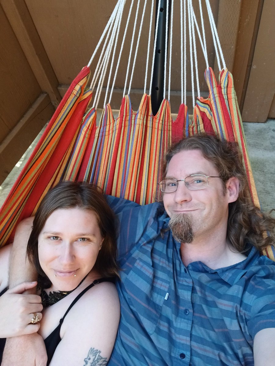 Meerk the Meerkat tweet media