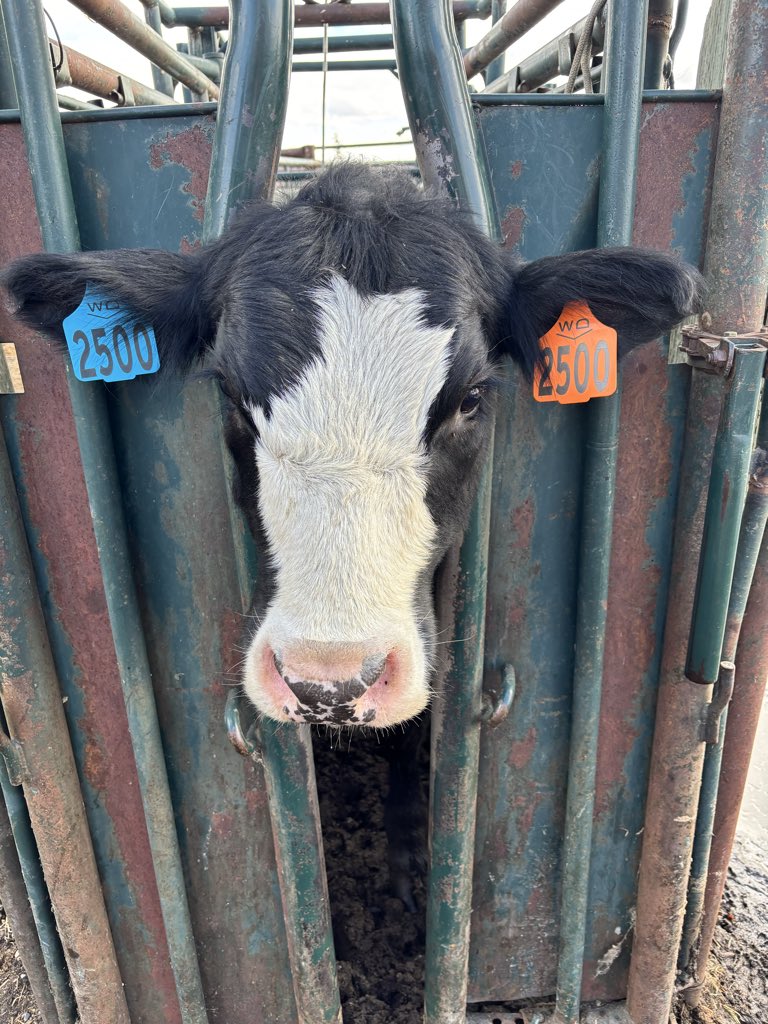 Garrett Wolf tweet media