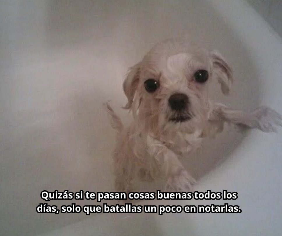 emociones amarillas (@conoloracigarro) on Twitter photo 