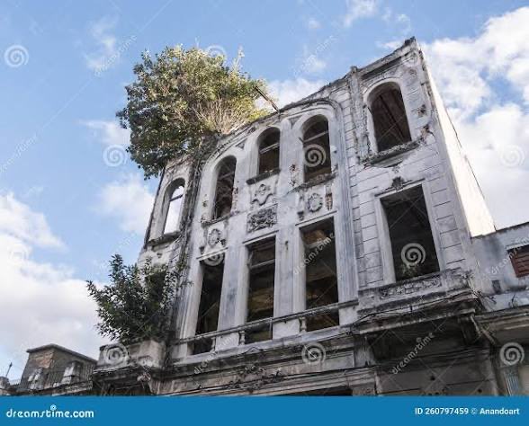 Sergio Pedroso tweet media