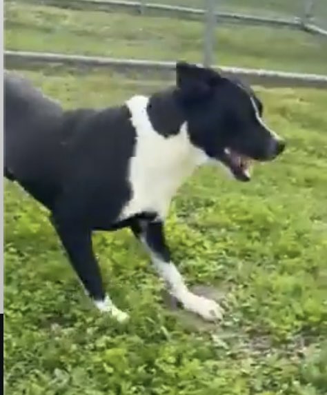 Cheryl Ramirez tweet media