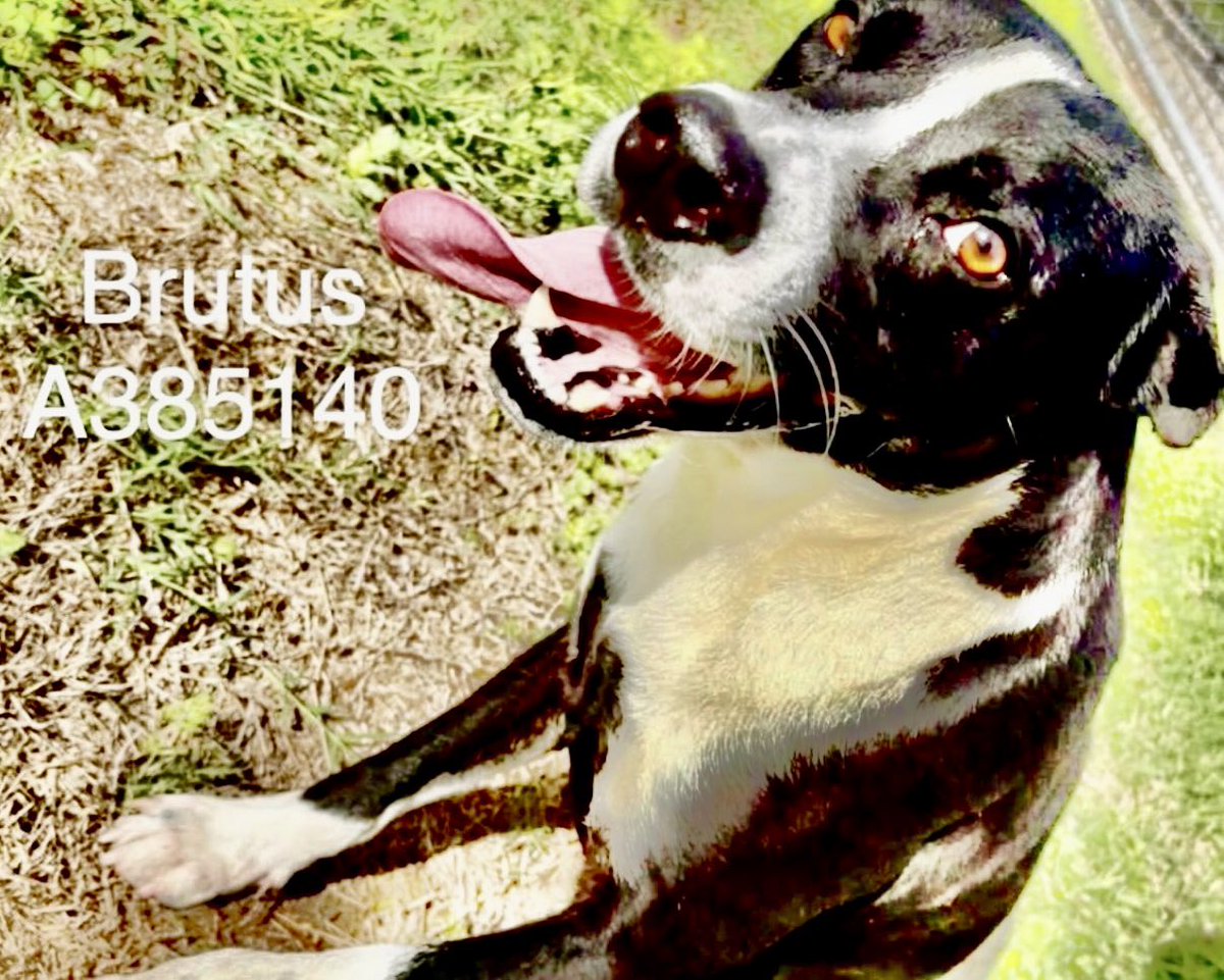 Cheryl Ramirez tweet media