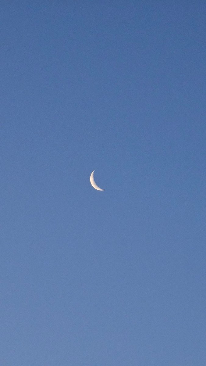 Misahell tweet media