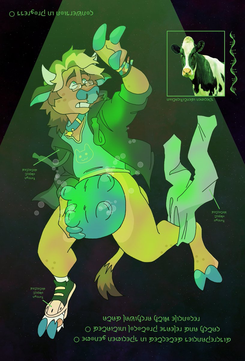 Ethcat Lynxley ☕️ 🔜 TFF tweet media