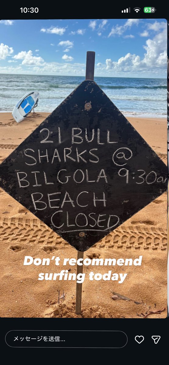 Ario🇦🇺🌊🏄‍♂️🥁 tweet media