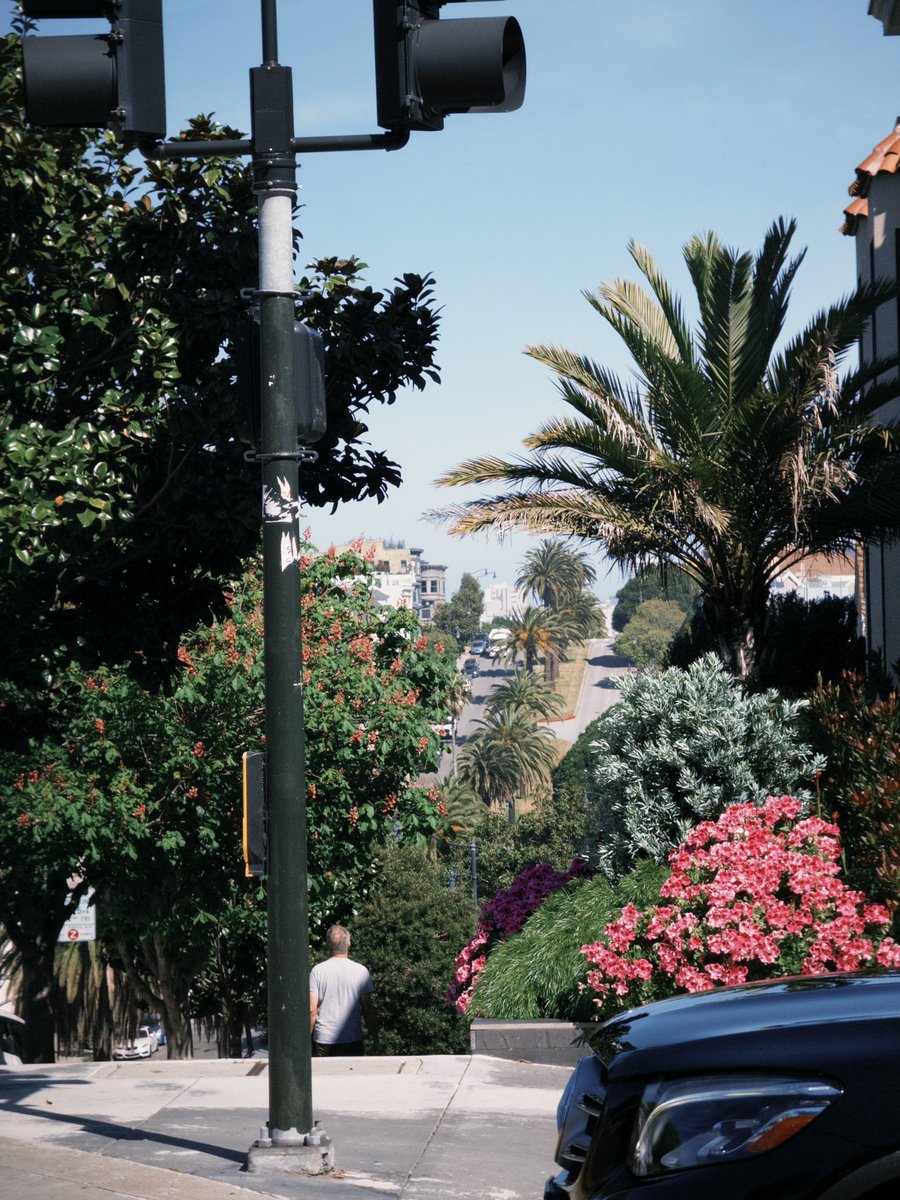 ari dutilh tweet media