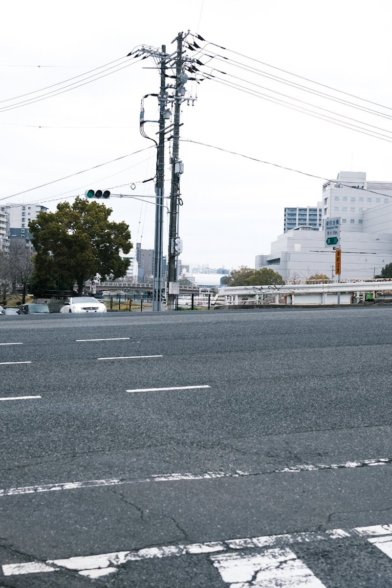 violet_byebye tweet media