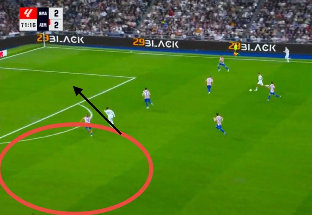 (fan) Marito 🐢 tweet media