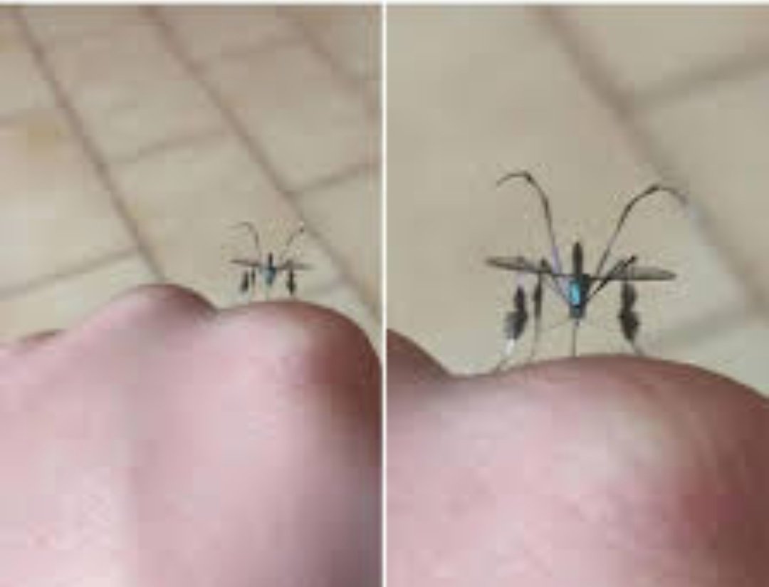 UnRandom tweet media