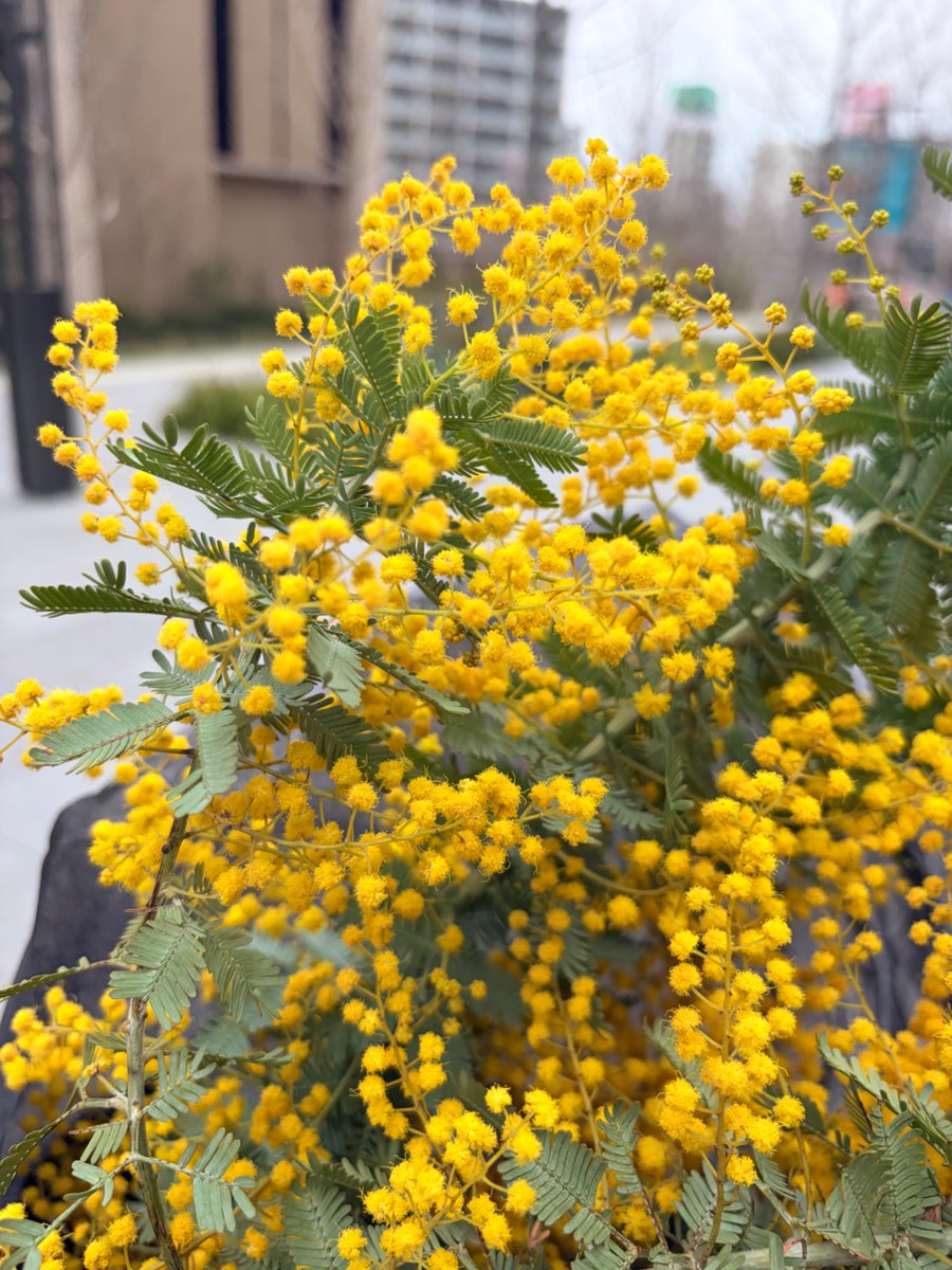 ぱいせん|習慣×ノートで思考整理 tweet media