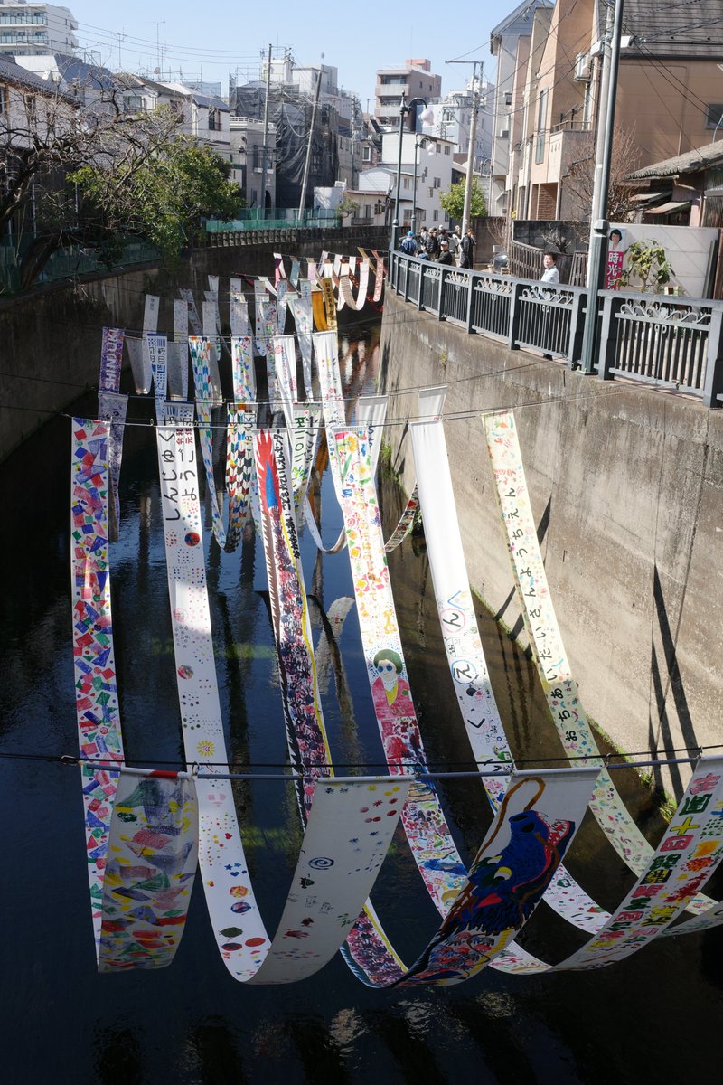 PAPUA（スナップ写真） tweet media