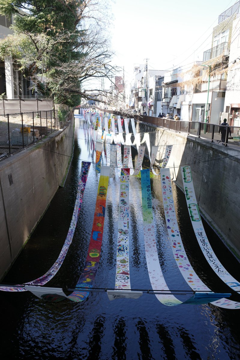 PAPUA（スナップ写真） tweet media