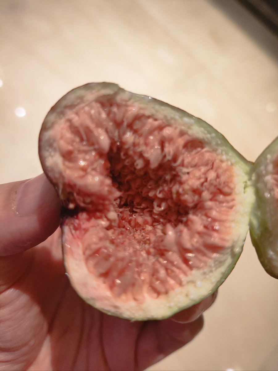 Chcę na listę Gmyza tweet media